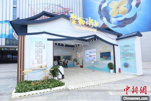 中国侨网浙江综合形象展示区。 浙江省商务厅 供图