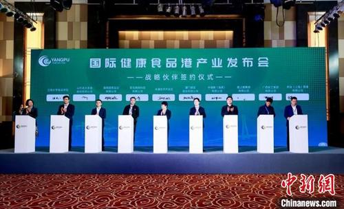中国侨网海南洋浦推出国际健康食品港。 洋浦经济开发区供图