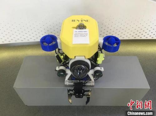 中国侨网朱铁峰回国后创办尔湾海洋智能科技公司。图为其开发的微型水下机器人。（受访者供图 《中国新闻》报发）