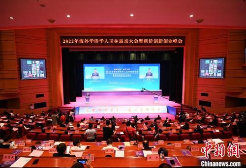 中国侨网图为大会现场。 杨志雄 摄