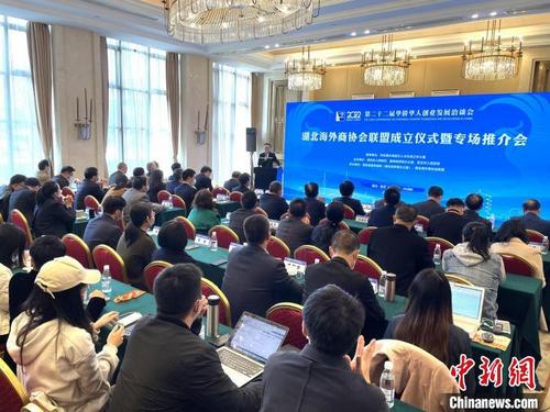 中国侨网湖北海外商协会联盟成立仪式 马芙蓉 摄