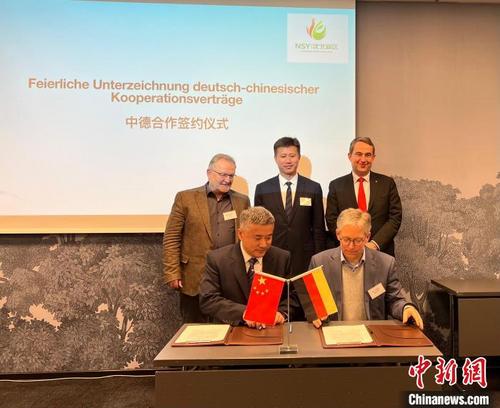 中国侨网图为签约仪式现场。 马秀秀 摄