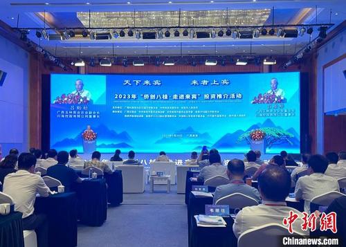 中国侨网图为2023“侨创八桂·走进来宾”投资推介活动现场。 韦佳秀 摄