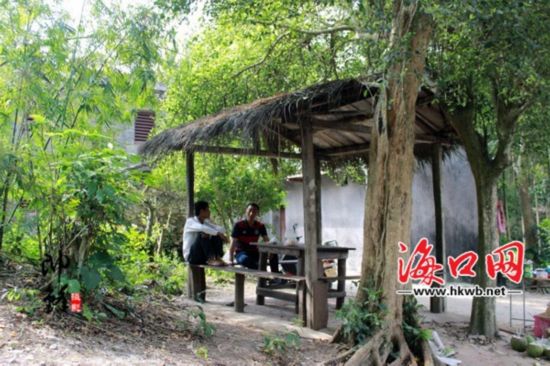 中国侨网蔡家大院旁边供人休憩的草亭子，复古、原始，倒有点意思。（海口网/李帅锋 摄）