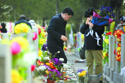 中国侨网数万鲜花 免费祭扫（《北京晚报》/张玉军 摄）