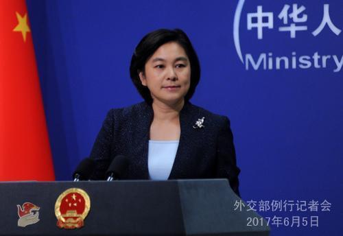 中国侨网华春莹 图片来源:外交部网站。