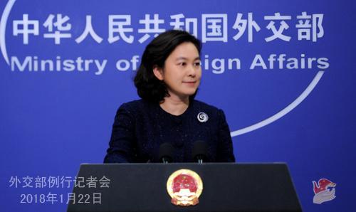 中国侨网图为华春莹。图片来源:外交部网站。