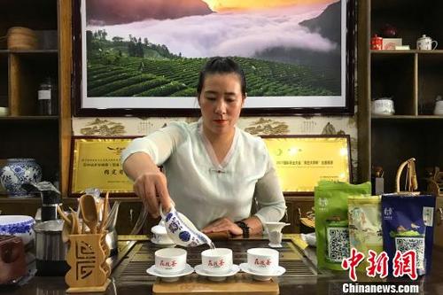 中国侨网恩施茶产业始终保持着旺盛的生机与活力　董晓斌　摄
