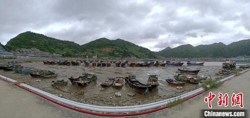 中国侨网苍南县金乡镇53艘渔船全部回港停靠。　蔡进拉　摄