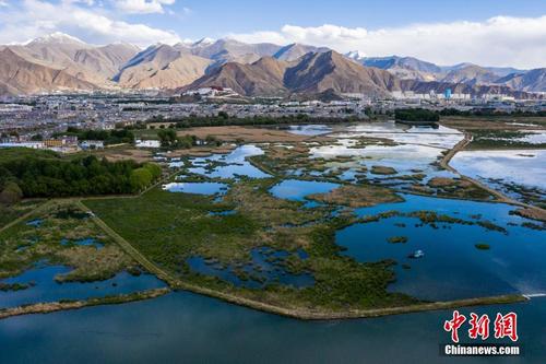 “拉萨之肺”拉鲁湿地初夏风景如画