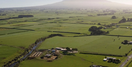 中国人投资新西兰牧场占比太多? 美国才是第一