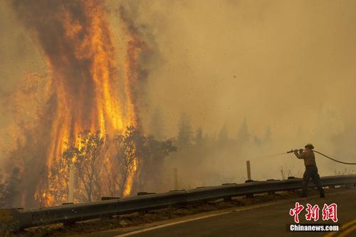 美国山火持续蔓延 超1万平方公里土地被烧毁