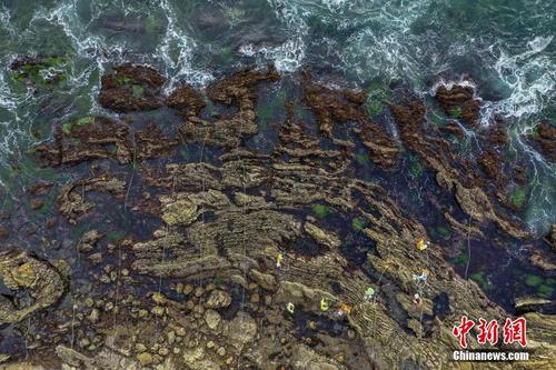 美国加州原油泄漏或因输油管线老化 海洋污染持续