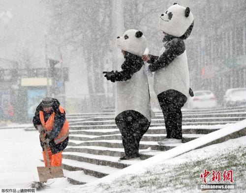 乌克兰基辅大雪纷飞 市民穿动物套装悠然赏雪景 