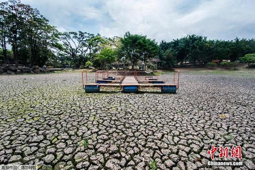哥斯达黎加圣何塞大旱 公园湖泊干涸干涸