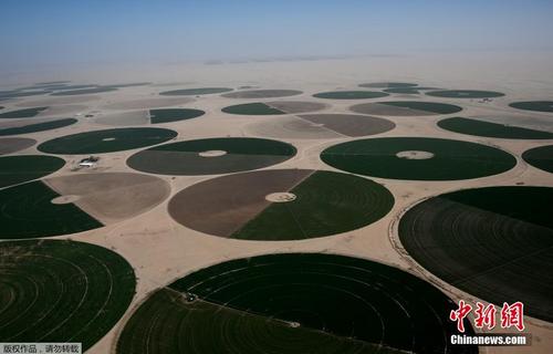 航拍沙特东北部沙漠 绿洲点缀荒漠如同撒落的光碟