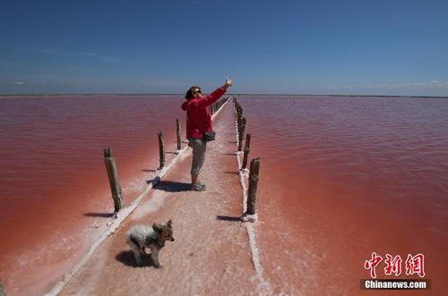 克里米亚盐湖粉色水面超惊艳