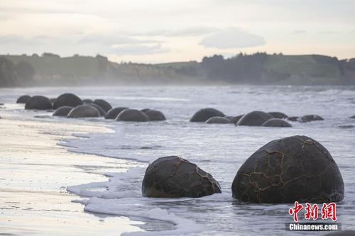 古老摩拉基圆形巨石阵现身新西兰海滩 滚圆好似恐龙蛋