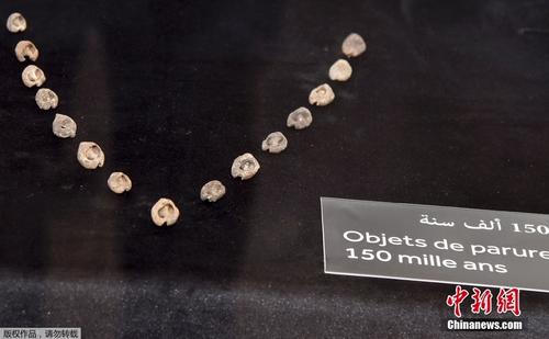 摩洛哥展出15万年前蜗牛壳串珠 被誉为世界最古老珠宝