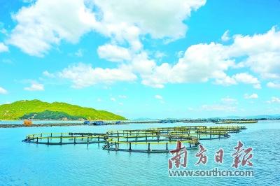 图为在饶平柘林湾的深海养殖基地.王丽 摄