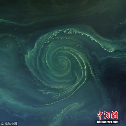 俯窥斯堪的纳维亚海域的浮游生物“漩涡”