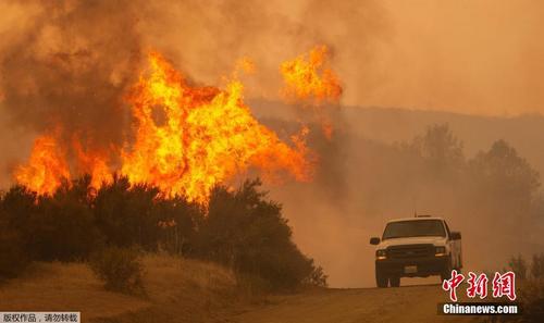 1148平方公里 美国加州北部山火过火面积创纪录 