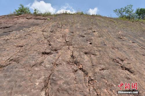 贵州发现中国侏罗纪早期规模最大蜥脚类足迹群
