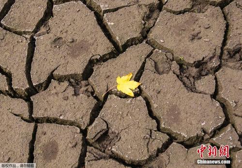 德国高温刷新纪录 湖面干涸土地龟裂 