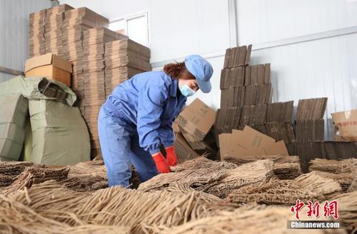 甘肃岷县：种好中药材 开出“脱贫方” 