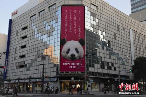 东京为旅日大熊猫“香香”举办送行活动 