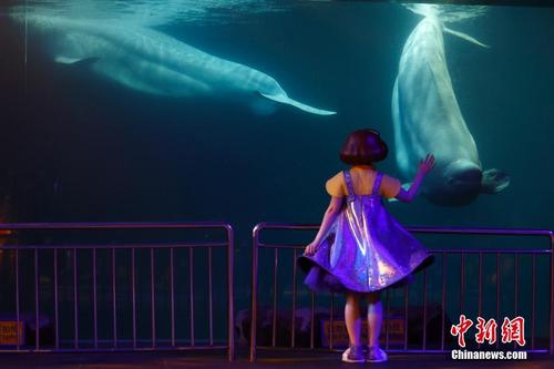 小朋友在北京过“世界海洋日”体验海洋魅力