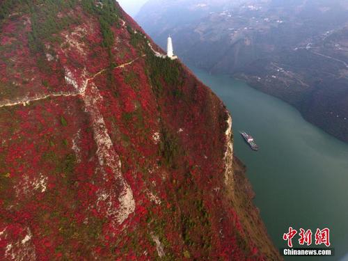 航拍长江三峡两岸满山红叶成“美丽画卷”