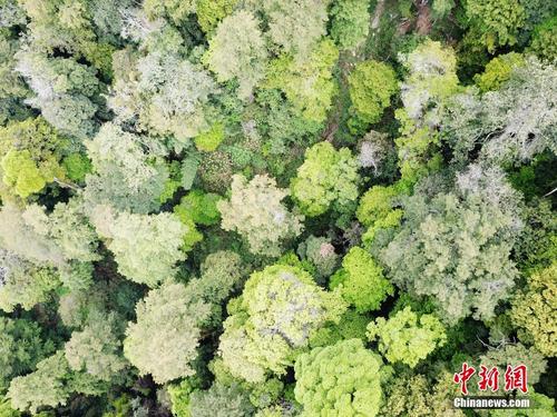 探访“八闽母亲山”——梅花山