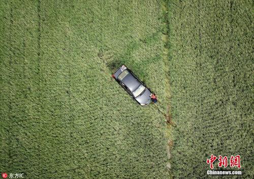 成都遇洪水轿车“漂移”数十米 稻田中等主人