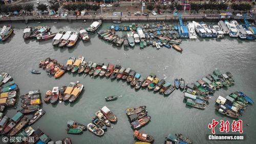 广东全力防御台风“贝碧嘉” 渔船纷纷回港避风 