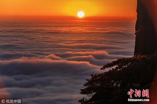 安徽黄山现壮美日出 雾凇浸染金色晨光