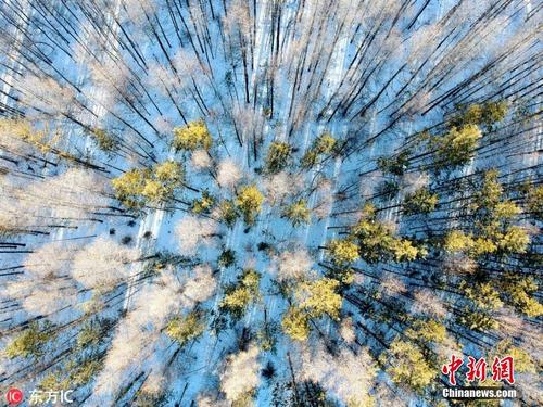 航拍黑龙江漠河银装素裹冰天雪地赏林海