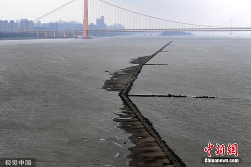 长江武汉段水位降低 江面中心现石子小路