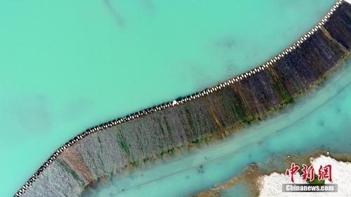 浙江仙居乡村治水 景美如画