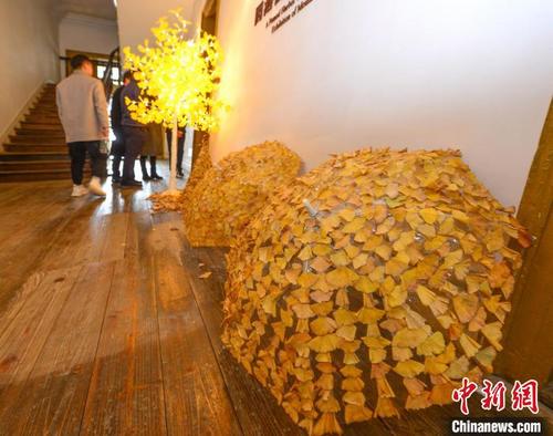 福州烟台山银杏节：感受银杏与冬日的浪漫