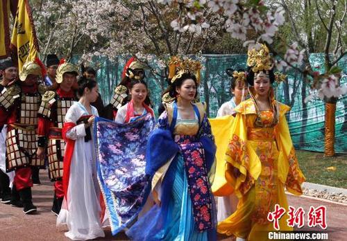 古装美女穿越盐城大洋湾 樱花下演绎“梦回大唐”