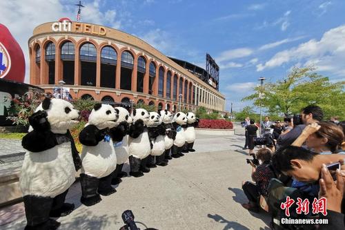 人偶大熊猫亮相纽约花旗球场 