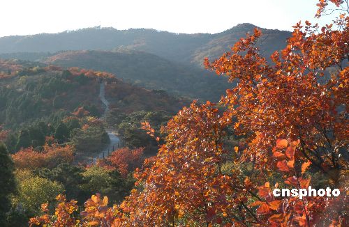 北京的西山