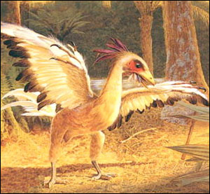 西方科学杂志刊登的孔子鸟雌鸟复原图