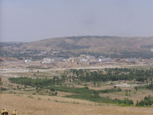 q7.jpg