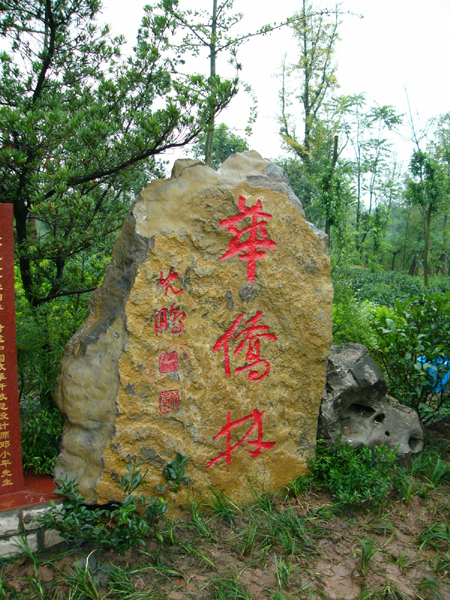 13.JPG