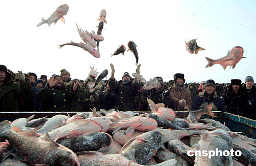 0111pic.jpg