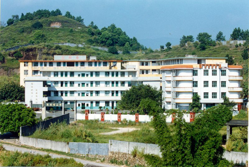 pic02.jpg