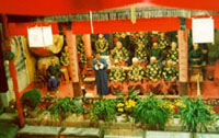 lj3.jpg