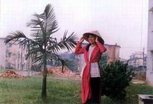 008jing.jpg